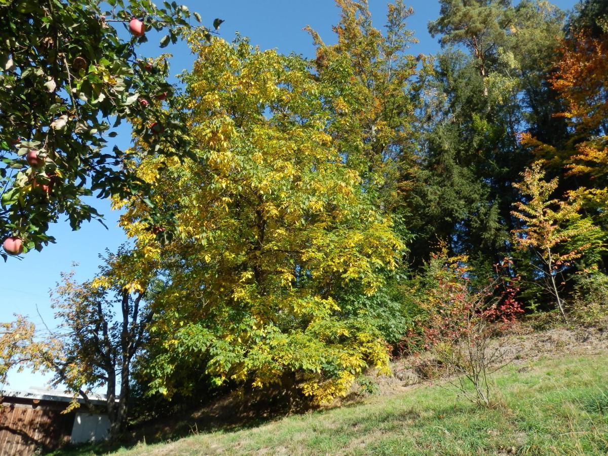 Naturoase Muehlviertel Sankt Johann am Wimberg Exteriér fotografie