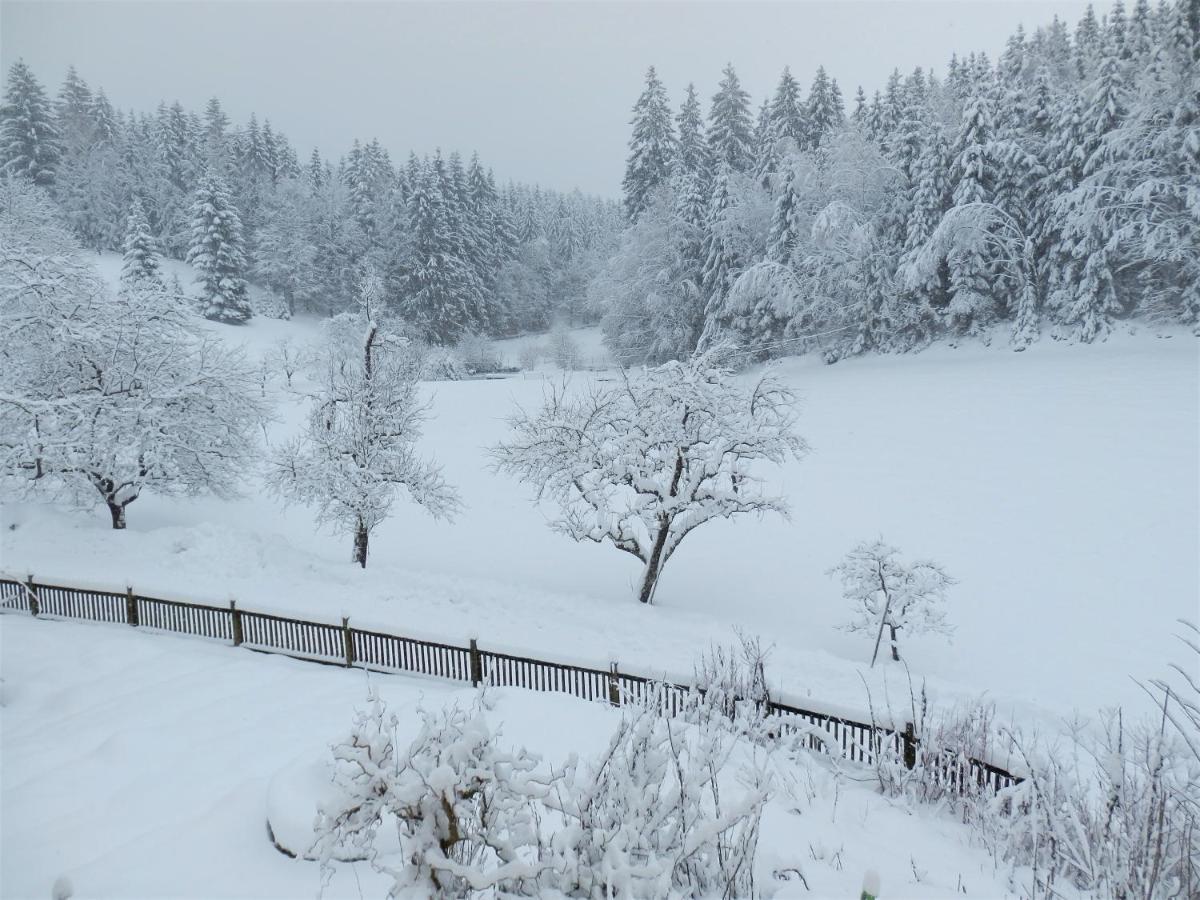 Naturoase Muehlviertel Sankt Johann am Wimberg Exteriér fotografie